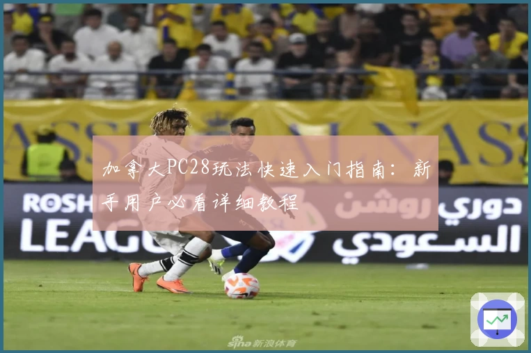 加拿大PC28玩法快速入门指南：新手用户必看详细教程