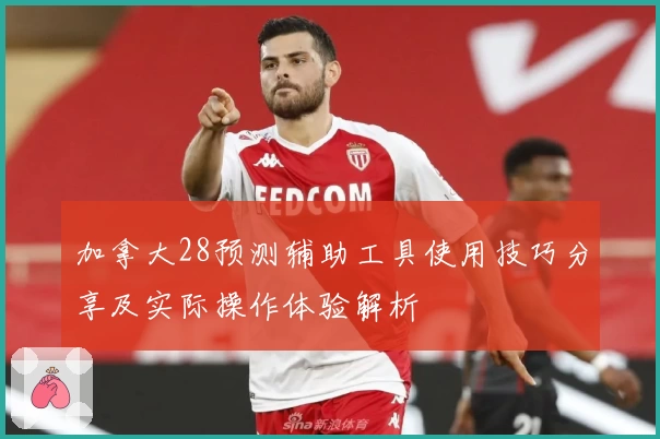 加拿大28预测辅助工具使用技巧分享及实际操作体验解析