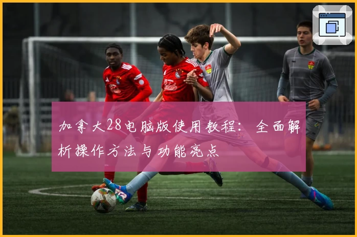 加拿大28电脑版使用教程：全面解析操作方法与功能亮点