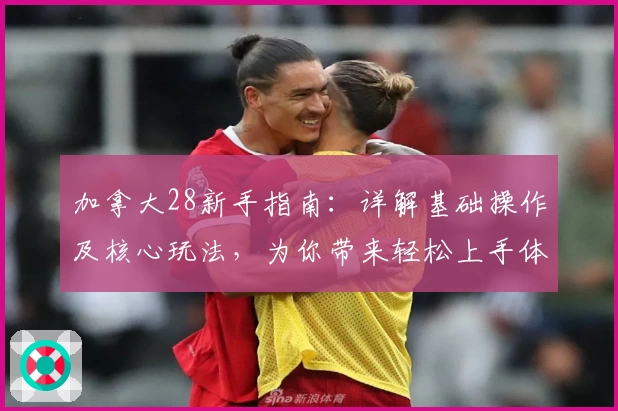 加拿大28新手指南：详解基础操作及核心玩法，为你带来轻松上手体验