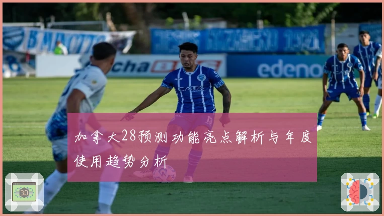 加拿大28预测功能亮点解析与年度使用趋势分析