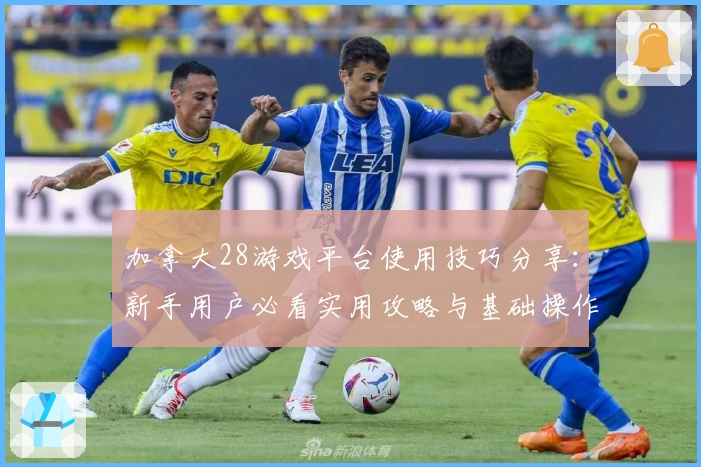 加拿大28游戏平台使用技巧分享：新手用户必看实用攻略与基础操作指南