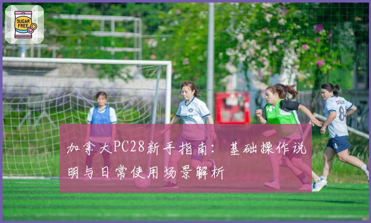 加拿大PC28新手指南:基础操作说明与日常使用场景解析