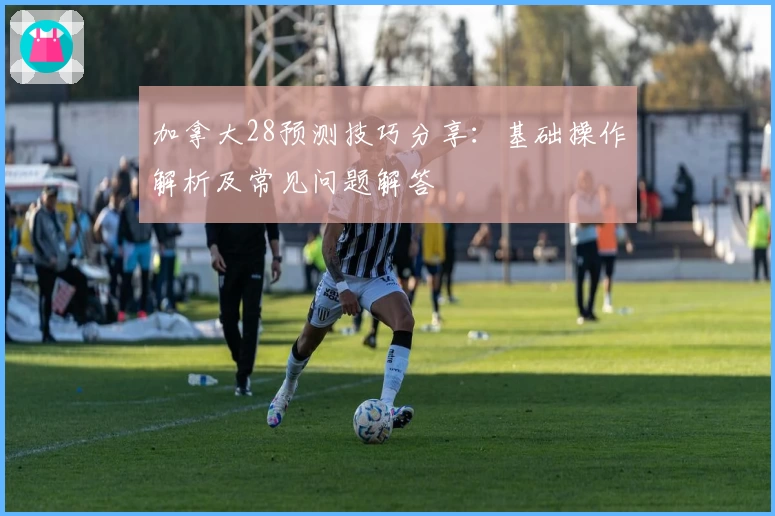 加拿大28预测技巧分享：基础操作解析及常见问题解答