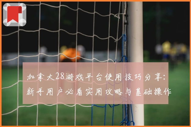 加拿大28游戏平台使用技巧分享：新手用户必看实用攻略与基础操作指南