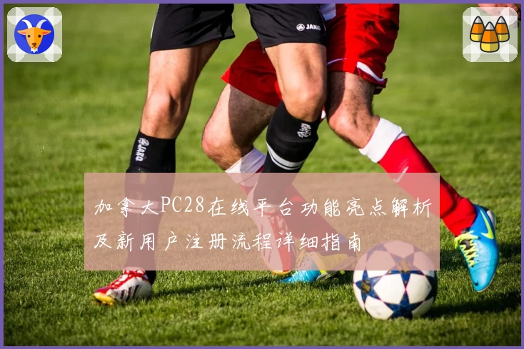 加拿大PC28在线平台功能亮点解析及新用户注册流程详细指南