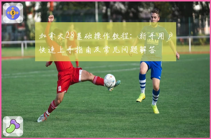 加拿大28基础操作教程：新手用户快速上手指南及常见问题解答