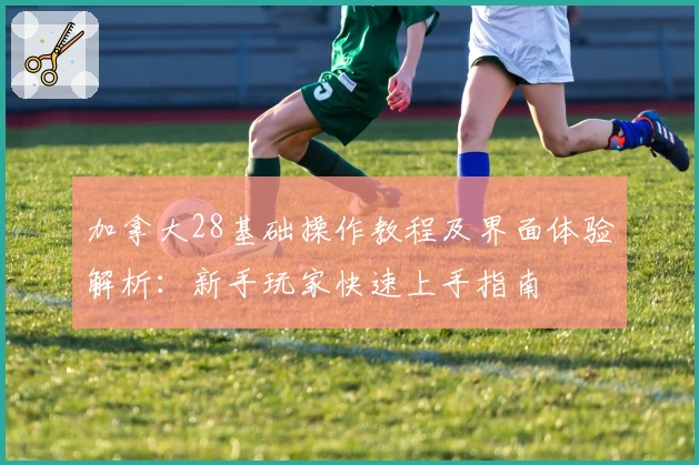 加拿大28基础操作教程及界面体验解析:新手玩家快速上手指南