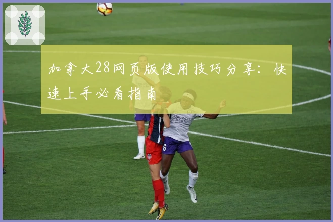 加拿大28网页版使用技巧分享：快速上手必看指南