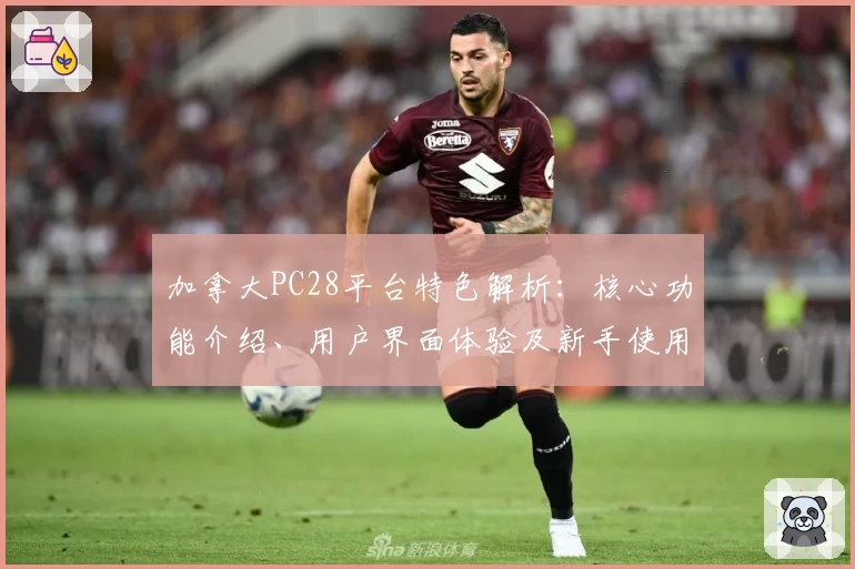 加拿大PC28平台特色解析：核心功能介绍、用户界面体验及新手使用指南
