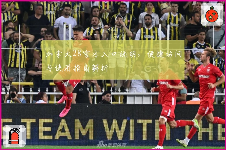 加拿大28官方入口说明，便捷访问与使用指南解析